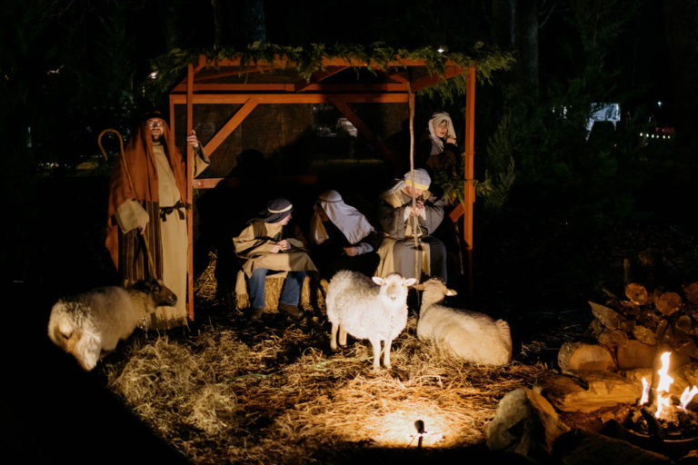 nativity25-9808